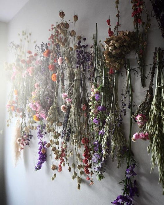 Fleurs séchée